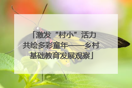 激发“村小”活力 共绘多彩童年——乡村基础教育发展观察