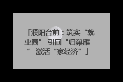 濮阳台前：筑实“就业圈” 引回“归巢雁” 激活“家经济”