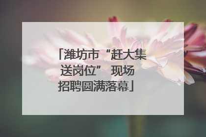 潍坊市“赶大集 送岗位” 现场招聘圆满落幕