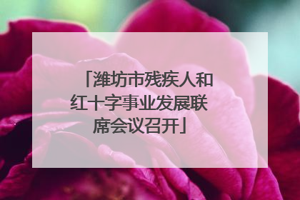 潍坊市残疾人和红十字事业发展联席会议召开