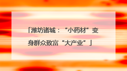 潍坊诸城：“小药材”变身群众致富“大产业”