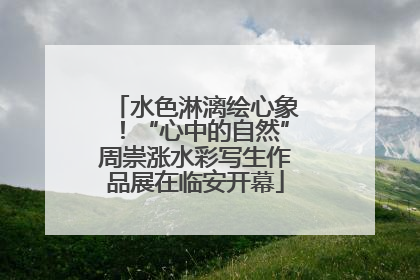 水色淋漓绘心象！“心中的自然”周崇涨水彩写生作品展在临安开幕