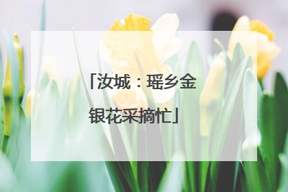 汝城：瑶乡金银花采摘忙
