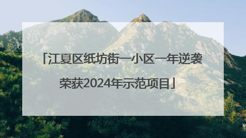 江夏区纸坊街一小区一年逆袭 荣获2024年示范项目