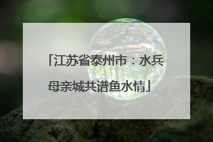 江苏省泰州市：水兵母亲城共谱鱼水情
