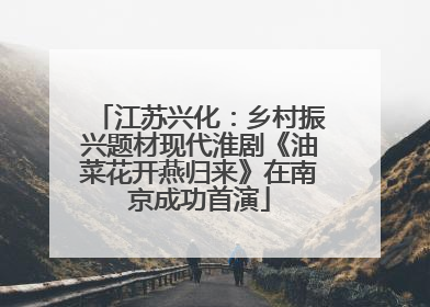 江苏兴化：乡村振兴题材现代淮剧《油菜花开燕归来》在南京成功首演