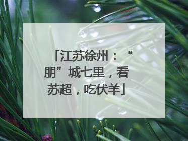 江苏徐州：“朋”城七里，看苏超，吃伏羊