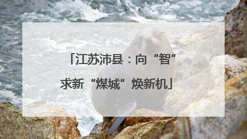 江苏沛县：向“智”求新“煤城”焕新机