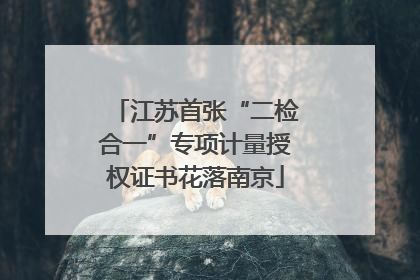 江苏首张“二检合一”专项计量授权证书花落南京