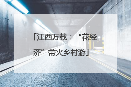 江西万载：“花经济”带火乡村游