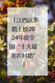 江西这条路上榜2024年度全国“十大最美农村路”
