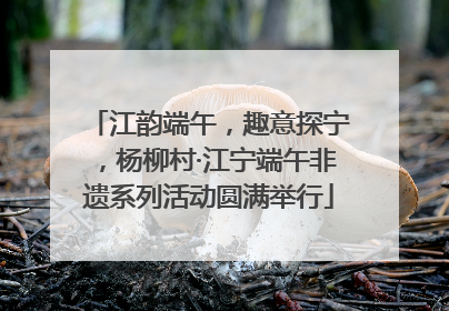 江韵端午，趣意探宁，杨柳村·江宁端午非遗系列活动圆满举行
