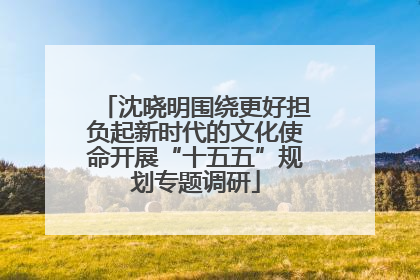 沈晓明围绕更好担负起新时代的文化使命开展“十五五”规划专题调研