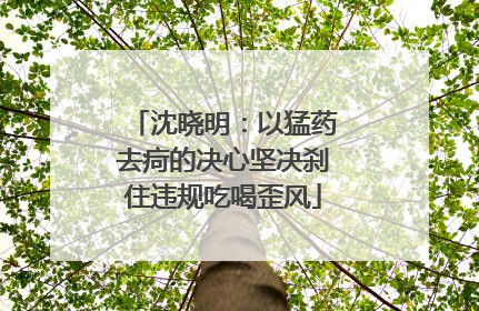 沈晓明：以猛药去疴的决心坚决刹住违规吃喝歪风