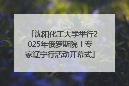 沈阳化工大学举行2025年俄罗斯院士专家辽宁行活动开幕式