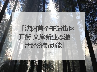 沈阳首个非遗街区开街 文旅新业态激活经济新动能