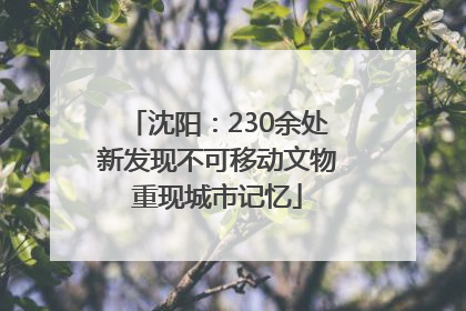 沈阳：230余处新发现不可移动文物重现城市记忆