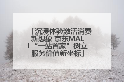沉浸体验激活消费新想象 京东MALL“一站置家”树立服务价值新坐标