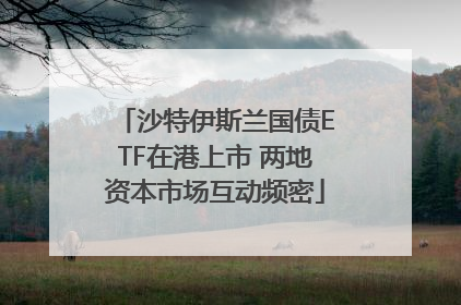 沙特伊斯兰国债ETF在港上市 两地资本市场互动频密