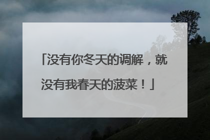 没有你冬天的调解，就没有我春天的菠菜！