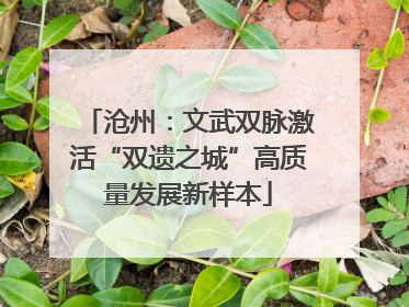 沧州：文武双脉激活“双遗之城”高质量发展新样本