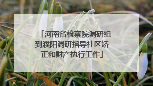 河南省检察院调研组到濮阳调研指导社区矫正和财产执行工作