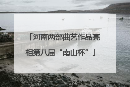 河南两部曲艺作品亮相第八届“南山杯”