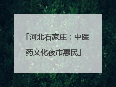 河北石家庄：中医药文化夜市惠民