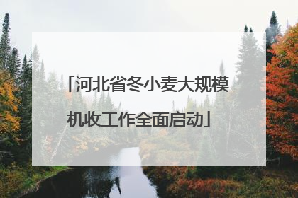 河北省冬小麦大规模机收工作全面启动