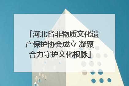 河北省非物质文化遗产保护协会成立 凝聚合力守护文化根脉