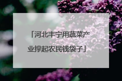 河北丰宁用蔬菜产业撑起农民钱袋子