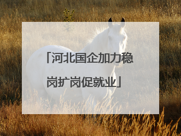 河北国企加力稳岗扩岗促就业