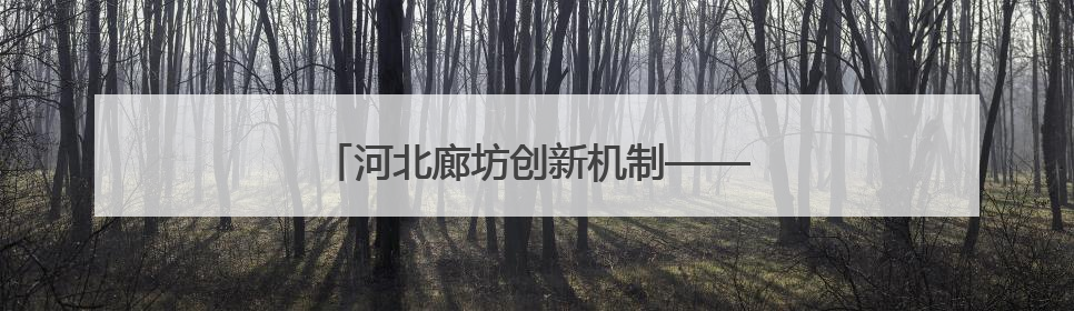 河北廊坊创新机制——优环境解难题促发展