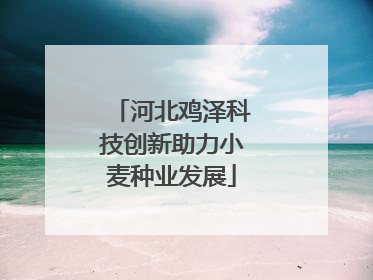 河北鸡泽科技创新助力小麦种业发展