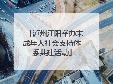 泸州江阳举办未成年人社会支持体系共建活动