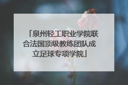 泉州轻工职业学院联合法国顶级教练团队成立足球专项学院