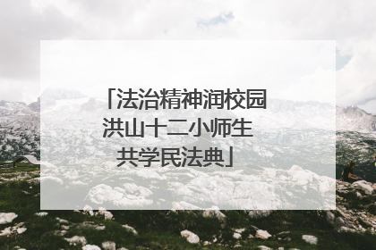 法治精神润校园 洪山十二小师生共学民法典