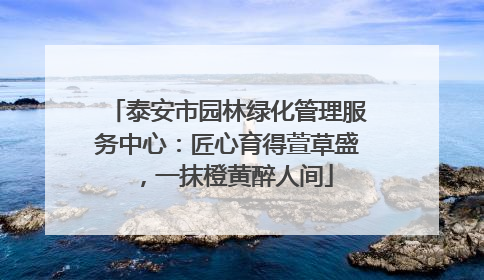 泰安市园林绿化管理服务中心：匠心育得萱草盛，一抹橙黄醉人间