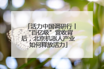 活力中国调研行丨 “百亿级”营收背后，北京机器人产业如何释放活力