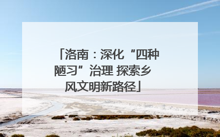 洛南：深化“四种陋习”治理 探索乡风文明新路径