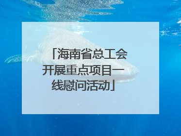 海南省总工会开展重点项目一线慰问活动