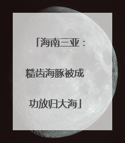 海南三亚：糙齿海豚被成功放归大海