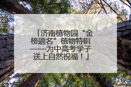 济南植物园“金榜题名”植物特辑——为中高考学子送上自然祝福！