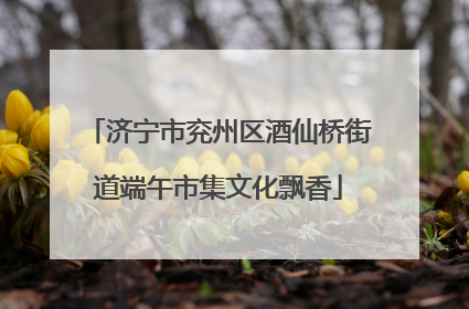 济宁市兖州区酒仙桥街道端午市集文化飘香