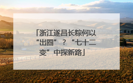 浙江遂昌长粽何以“出圈”？“七十二变”中探新路