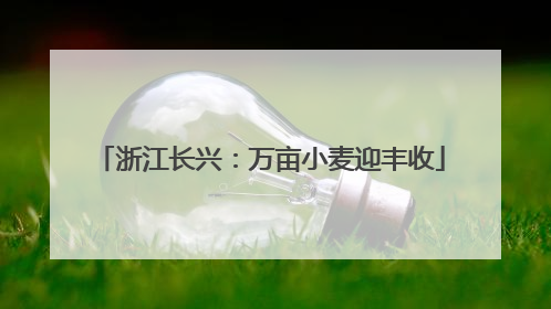 浙江长兴：万亩小麦迎丰收