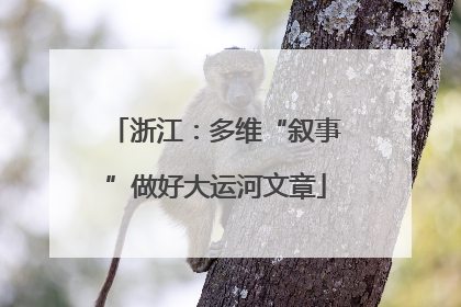浙江：多维“叙事”做好大运河文章