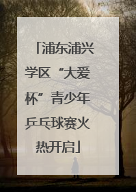 浦东浦兴学区“大爱杯”青少年乒乓球赛火热开启
