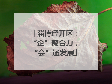 淄博经开区：“企”聚合力，“会”通发展