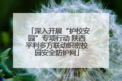 深入开展“护校安园”专项行动 陕西平利多方联动织密校园安全防护网